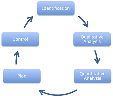 Traditional Risk Management